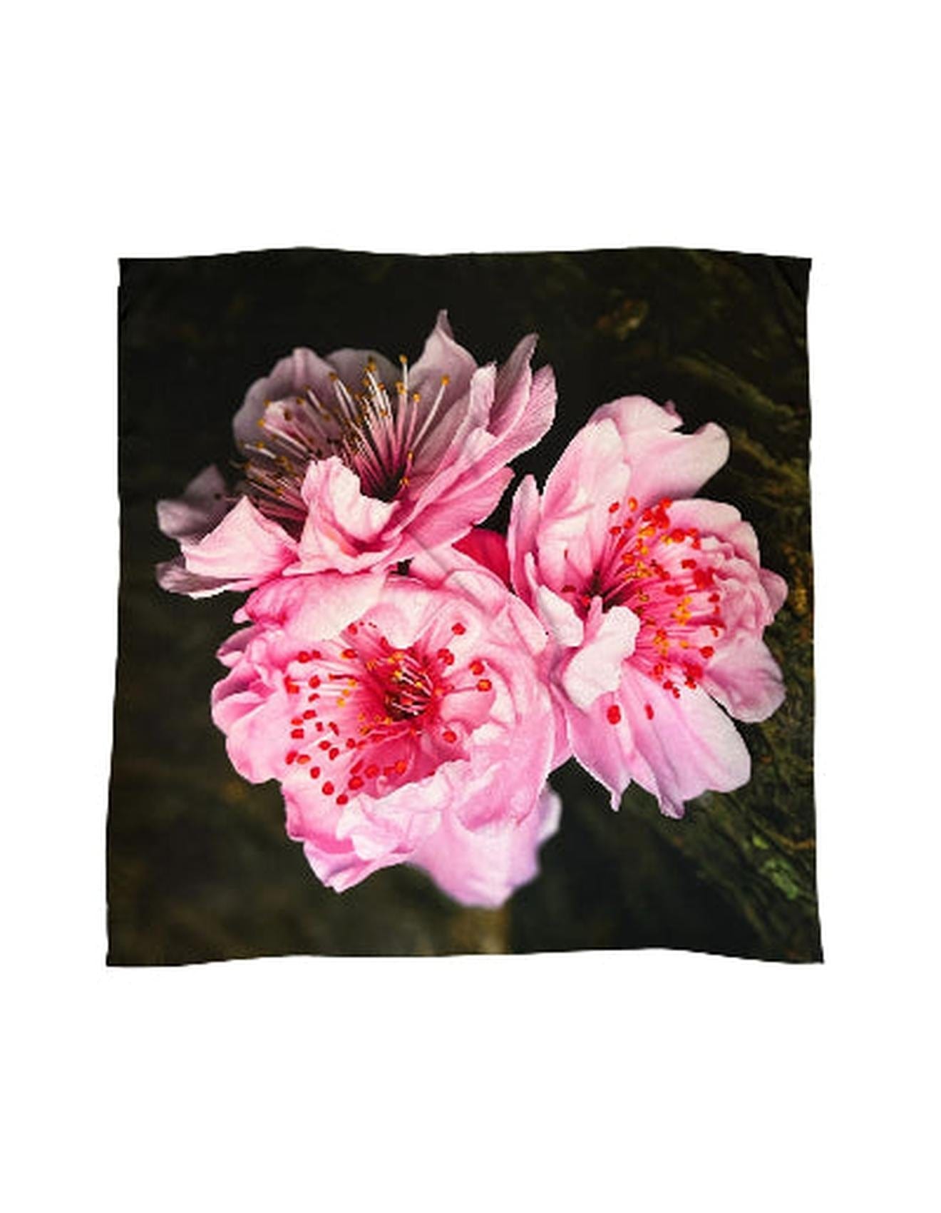 Lindsay Nicholas New York Scarves & Shawls Sakura Blossom Silk Scarf
