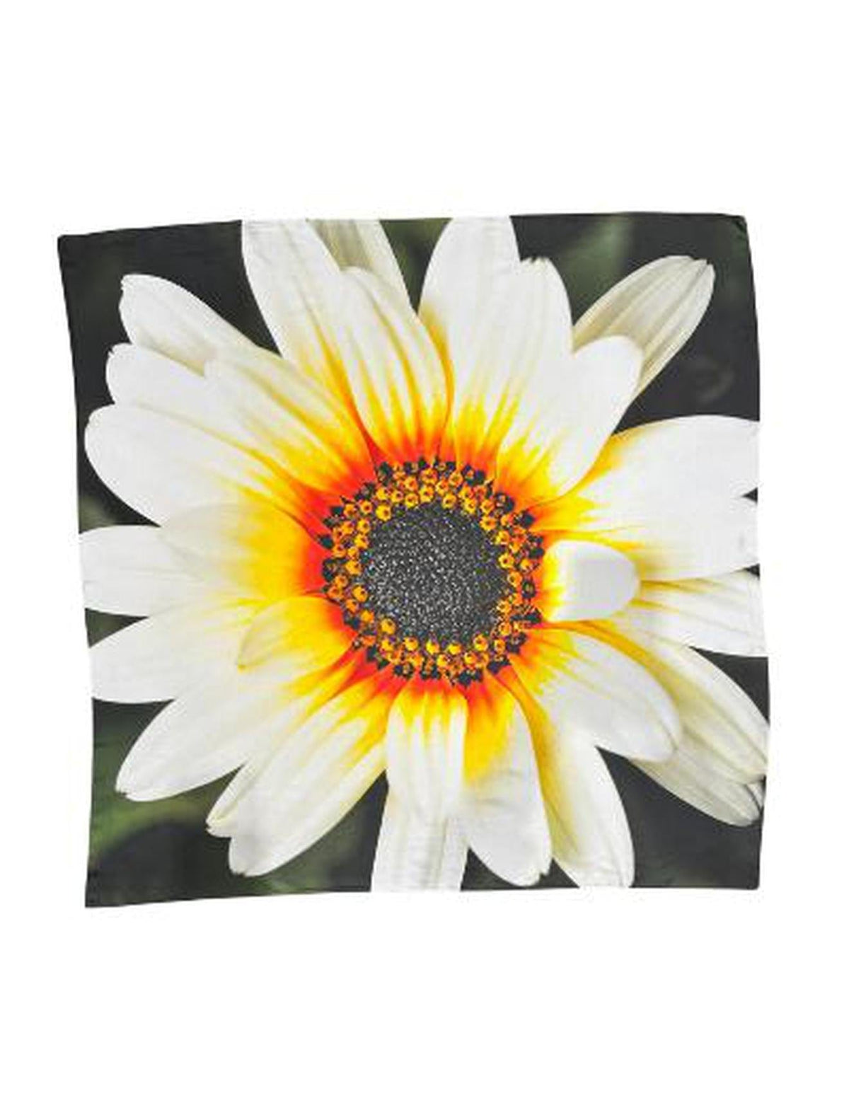 Lindsay Nicholas New York Scarves & Shawls African Daisy Bloom Silk Scarf