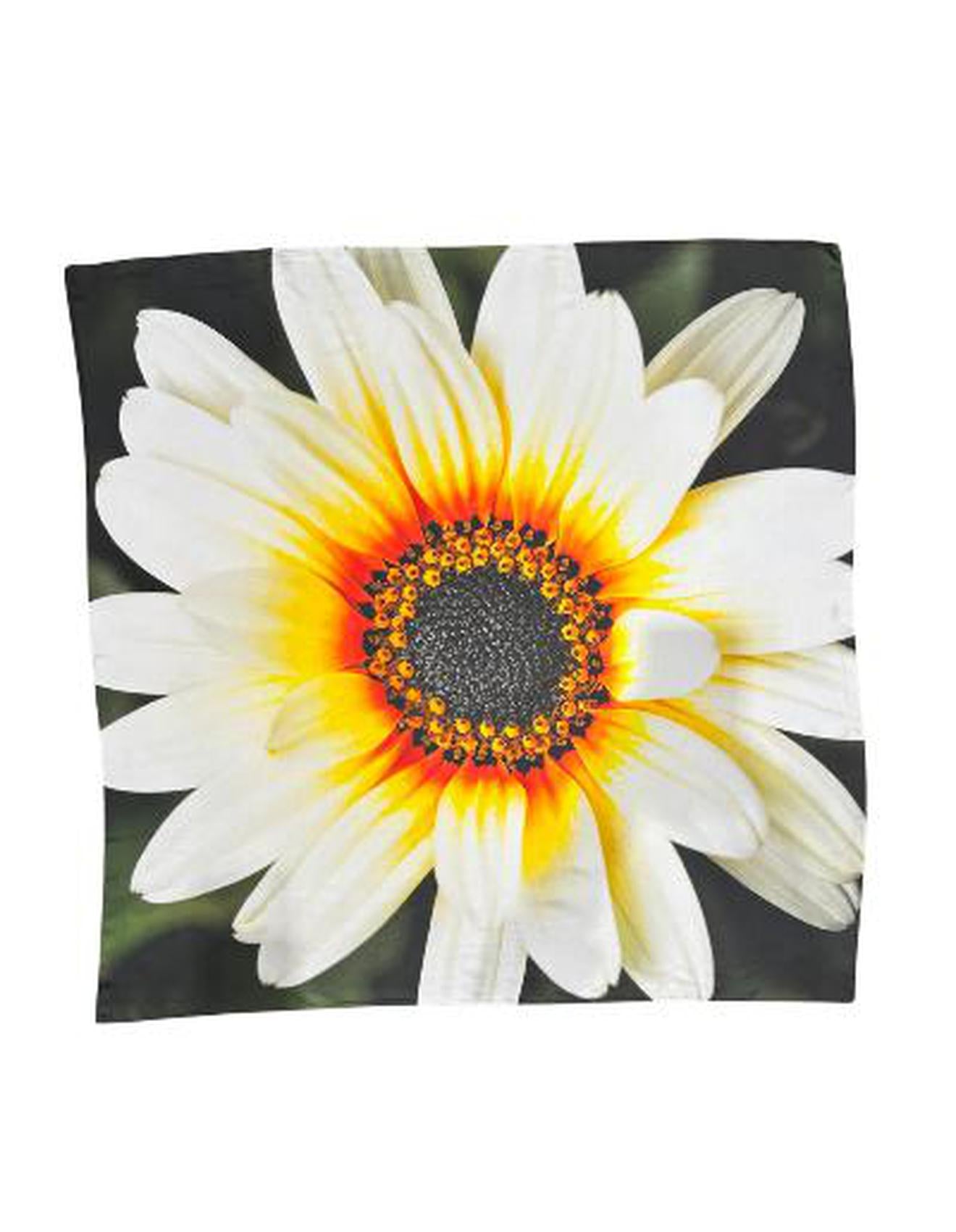 African Daisy Bloom Silk Scarf