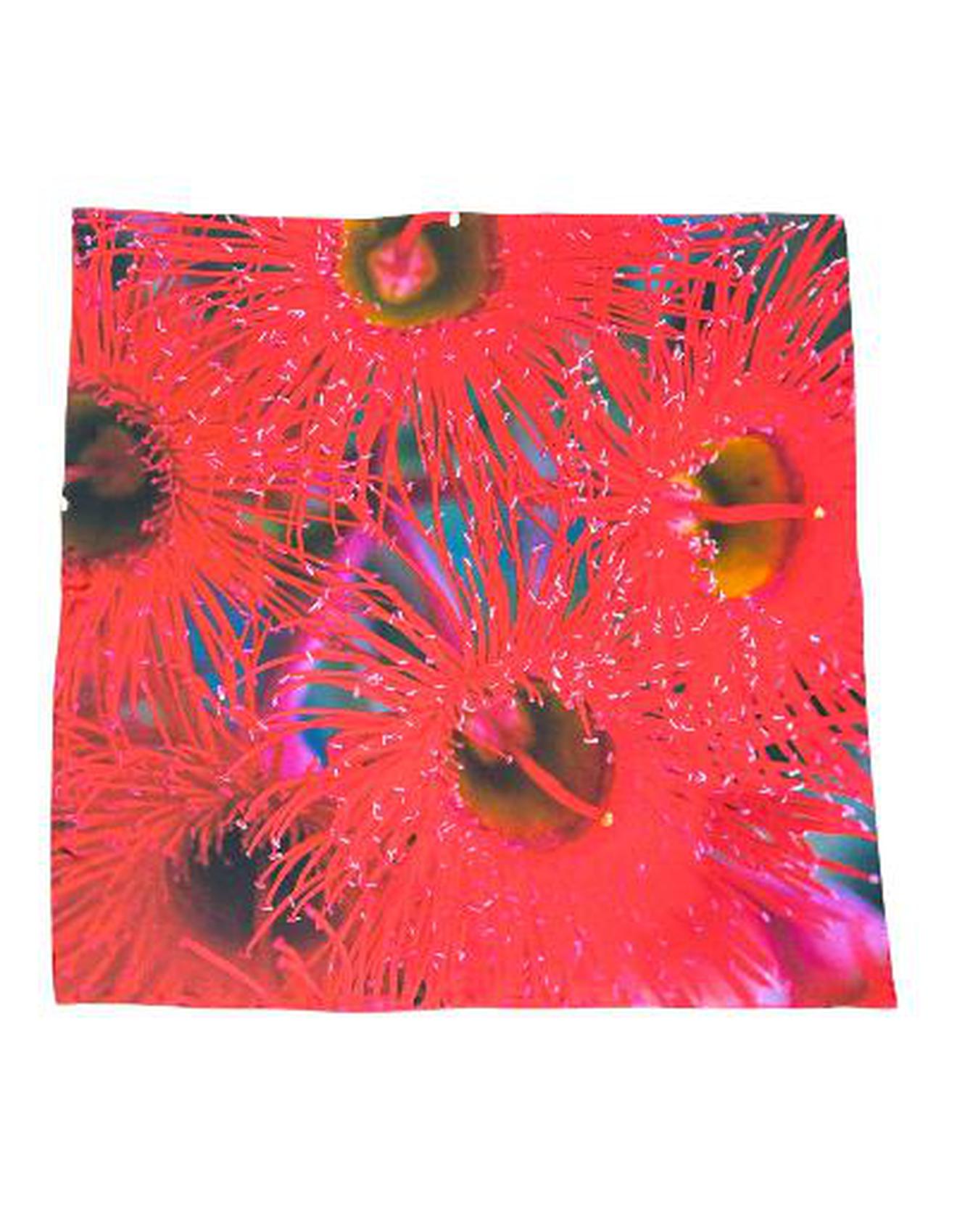 Melbourne Scarlet Burst Silk Scarf