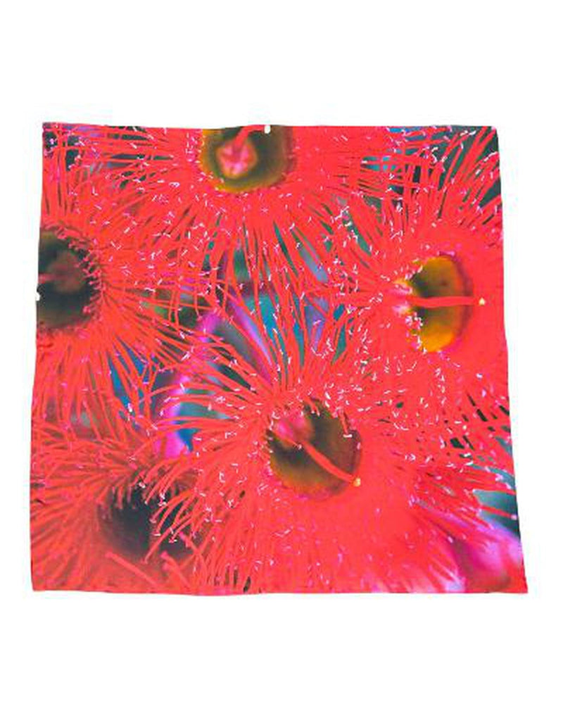 Lindsay Nicholas New York Scarves & Shawls Melbourne Scarlet Burst Silk Scarf
